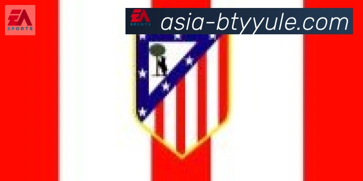 B体育官网合作伙伴
